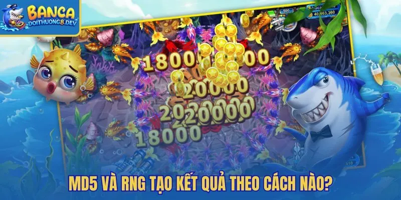 Bắn cá MD5 qua hai lớp xác thực dữ liệu và ngẫu nhiên